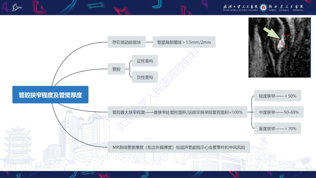 【PPT】颈动脉斑块HR-MR影像判读-12