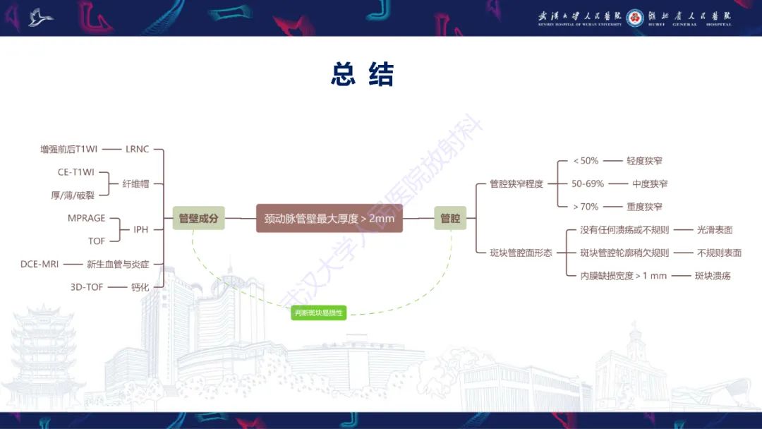 【PPT】颈动脉斑块HR-MR影像判读-33