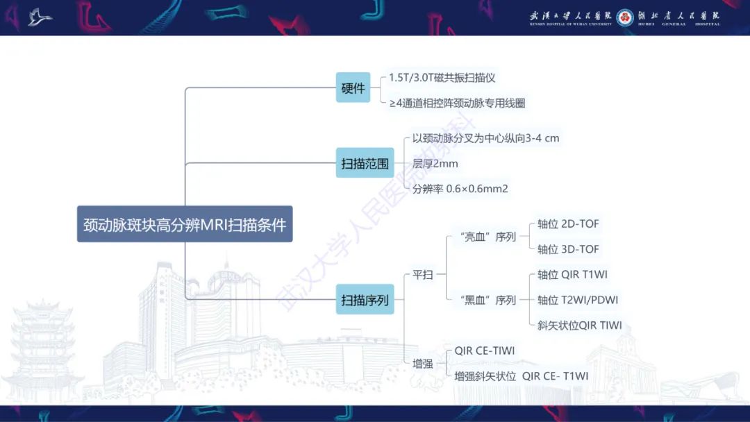 【PPT】颈动脉斑块HR-MR影像判读-8