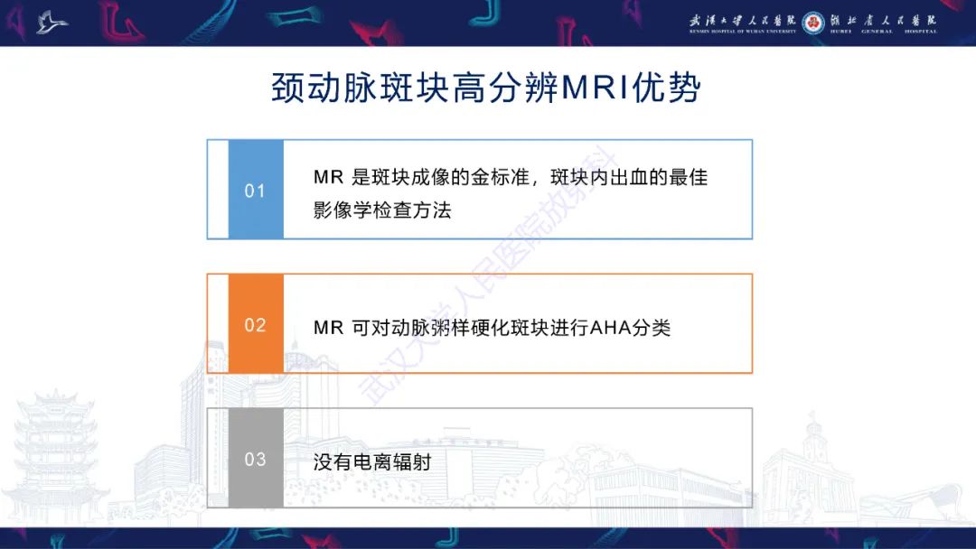 【PPT】颈动脉斑块HR-MR影像判读-7