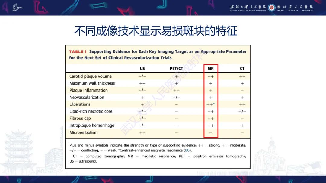 【PPT】颈动脉斑块HR-MR影像判读-6