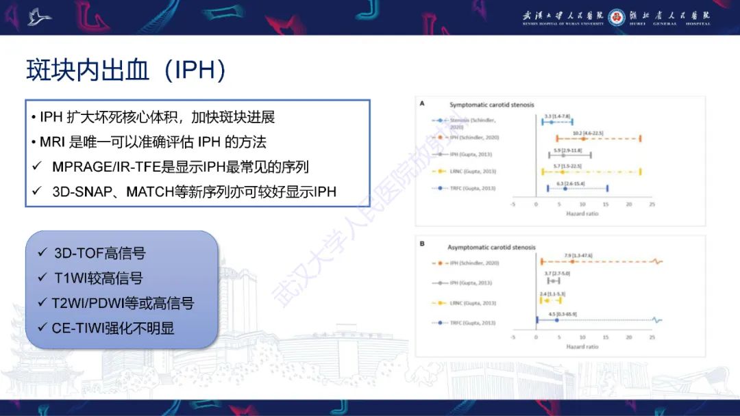 【PPT】颈动脉斑块HR-MR影像判读-18