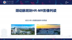 <b>颈动脉斑块HR-MR影像判读</b>