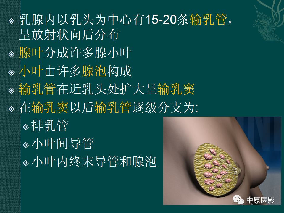 【PPT】乳腺导管内乳头状瘤MRI表现-4