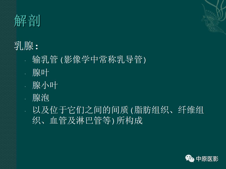 【PPT】乳腺导管内乳头状瘤MRI表现-2