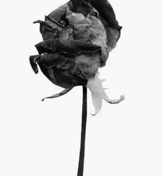 一定要小心食管的\