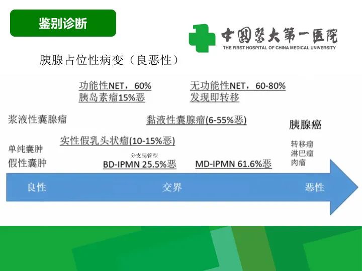 【病例】胰腺实性假乳头状瘤1例CT及MR影像-20