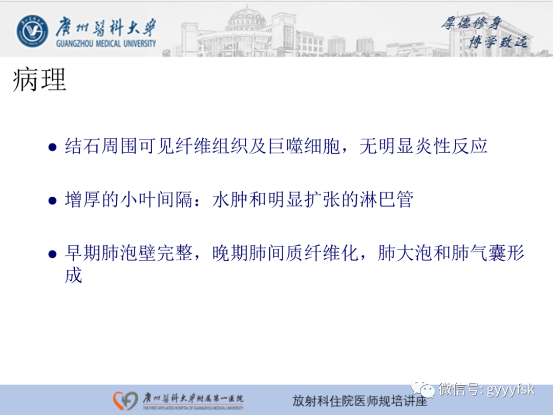 【PPT】肺泡微石症阅片指导-6