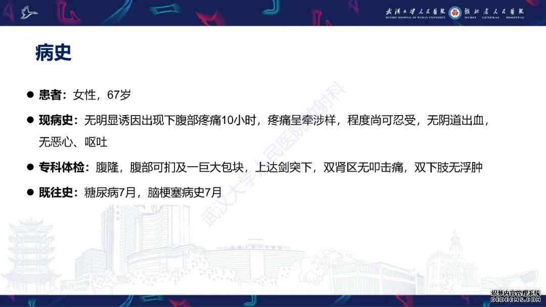 【PPT】盆腹腔巨大占位性病变影像诊断-2