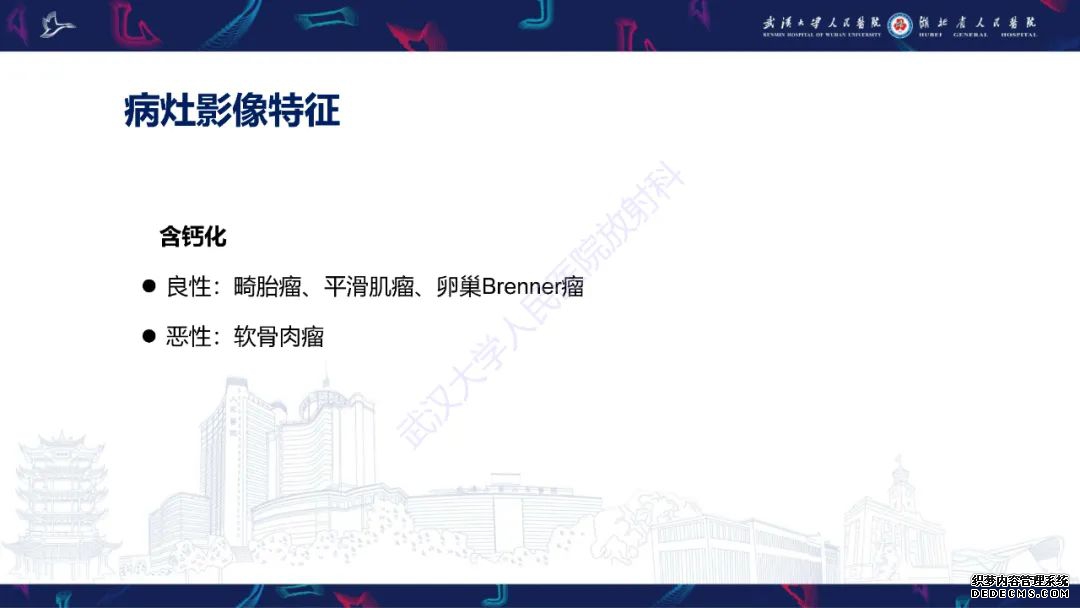 【PPT】盆腹腔巨大占位性病变影像诊断-46