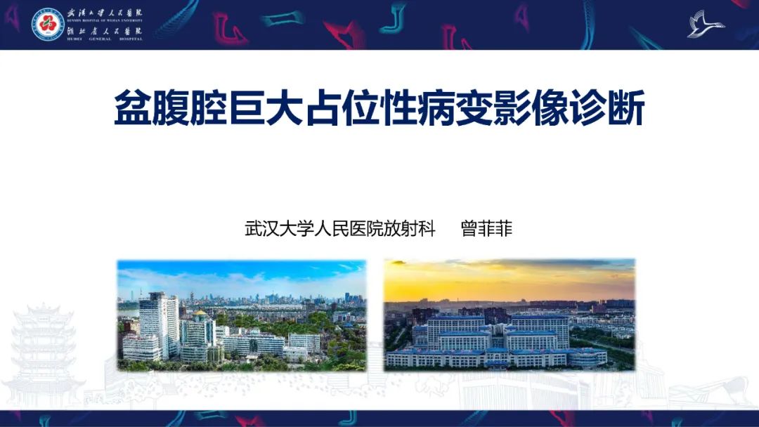 【PPT】盆腹腔巨大占位性病变影像诊断-1
