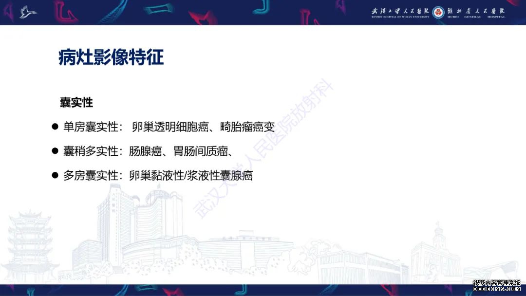 【PPT】盆腹腔巨大占位性病变影像诊断-65