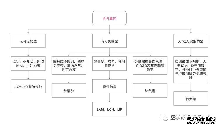 肺含气囊腔分类、定义及CT诊断思维-25 肺含气囊腔分类、定义及CT诊断思维-25