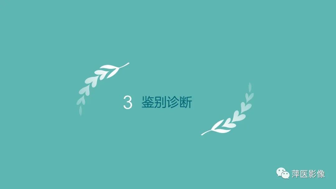 【PPT】肺结节病-19