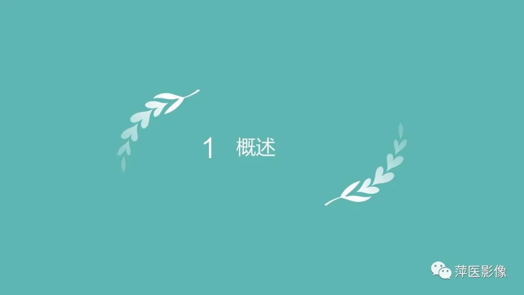 【PPT】肺结节病-3