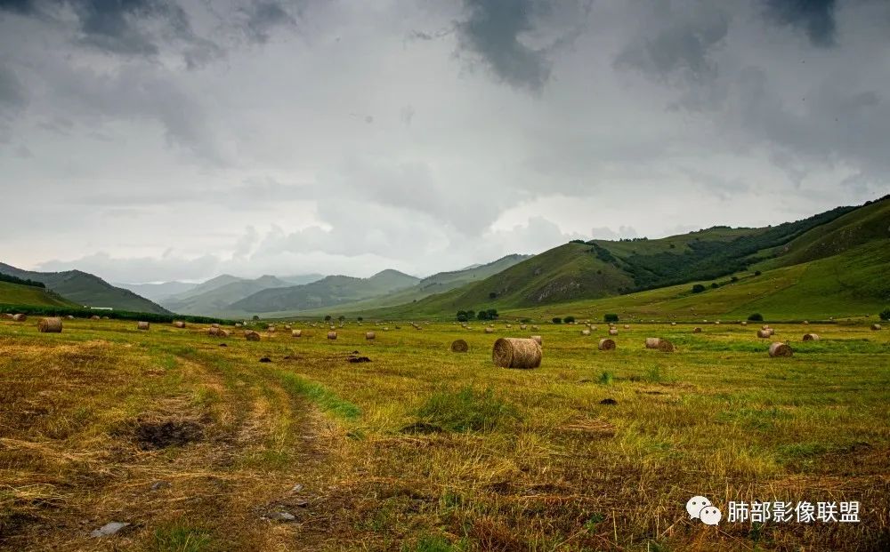【病例】三年逐渐增大的混合磨玻璃结节，真相是什么？-15