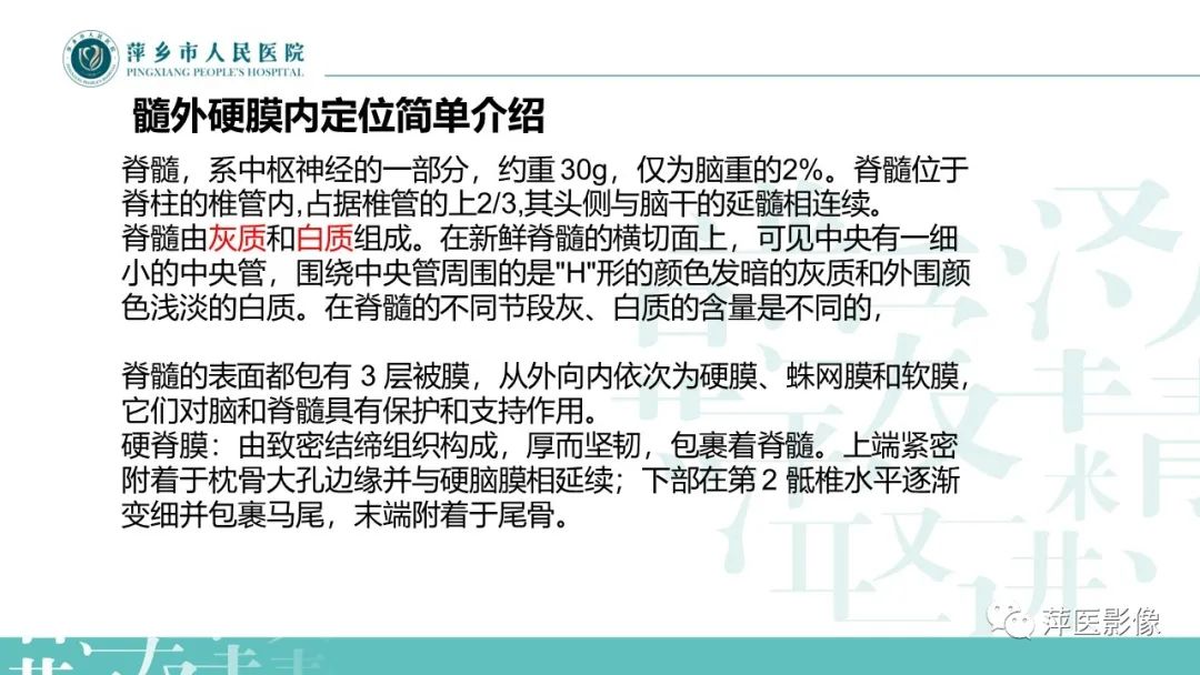 【PPT】髓外硬膜内肿瘤-3