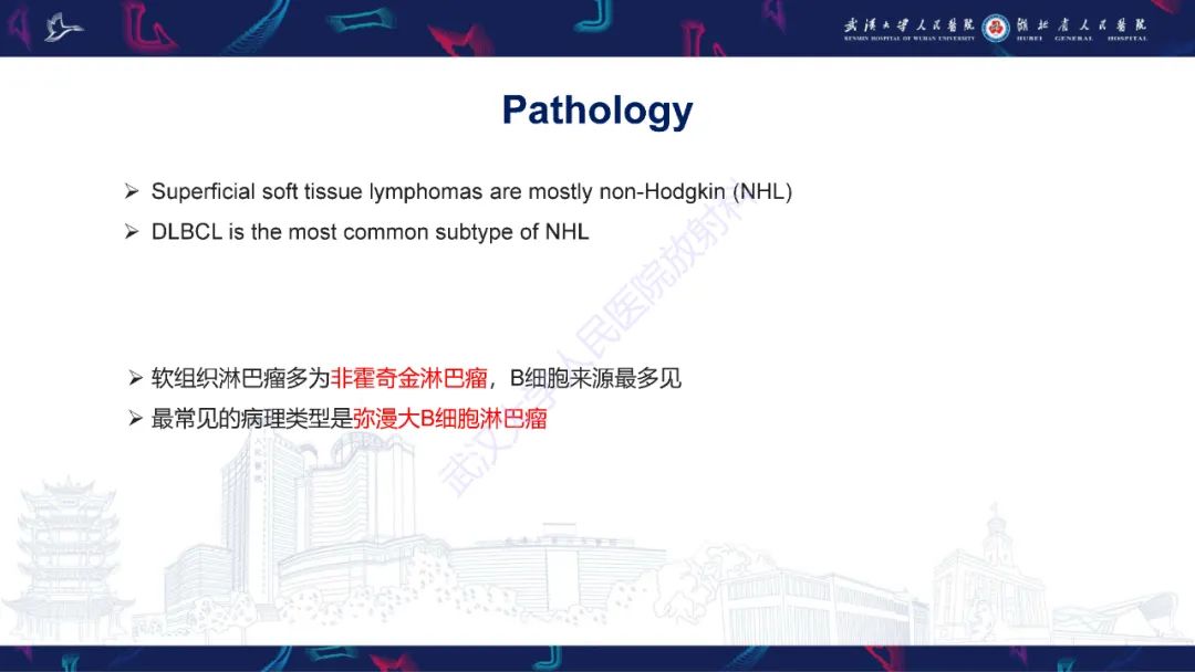 【PPT】软组织淋巴瘤影像诊断-8