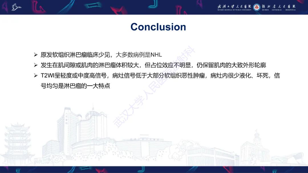 【PPT】软组织淋巴瘤影像诊断-25