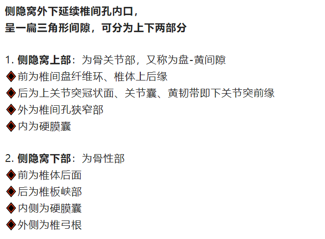侧隐窝详细解剖-4 侧隐窝详细解剖-4