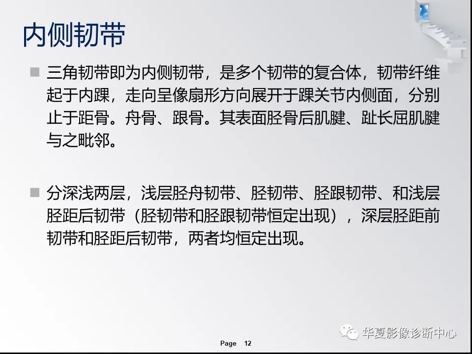 【PPT】踝关节韧带损伤MR表现与损伤机制分析-14 【PPT】踝关节韧带损伤MR表现与损伤机制分析-14