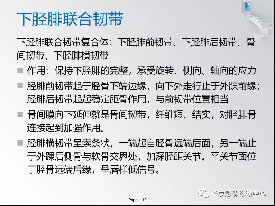 【PPT】踝关节韧带损伤MR表现与损伤机制分析-17 【PPT】踝关节韧带损伤MR表现与损伤机制分析-17