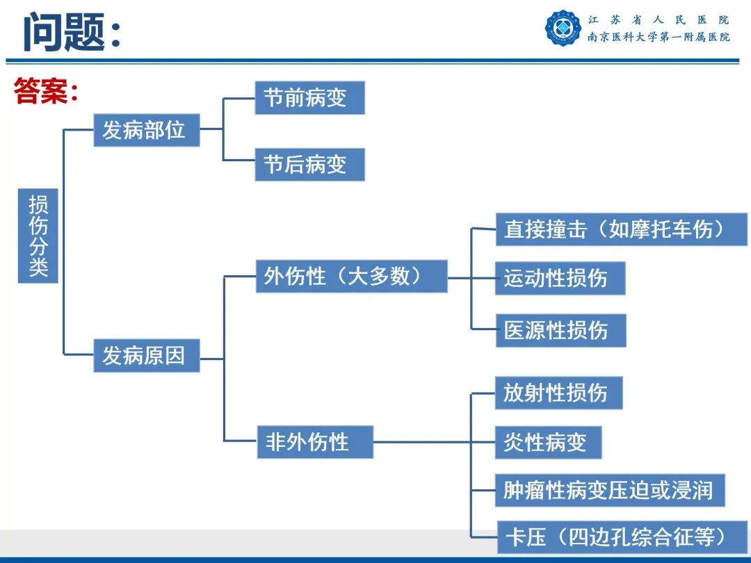 【PPT】臂丛病变-20