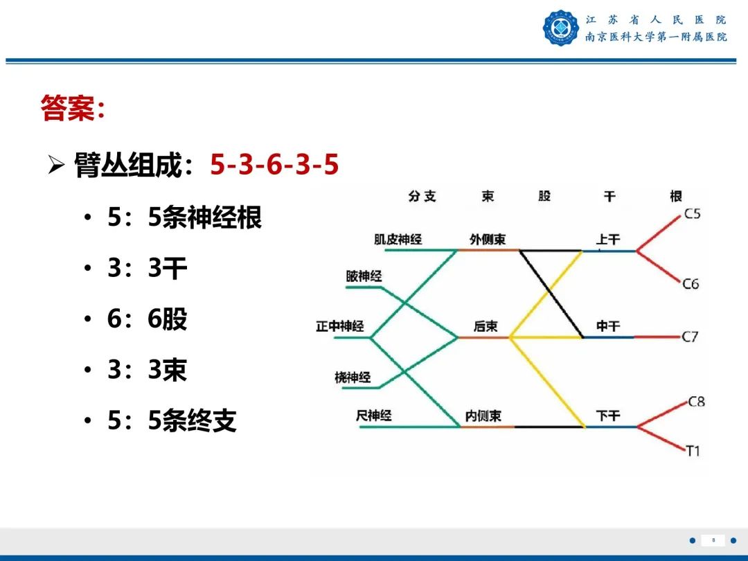 【PPT】臂丛病变-9