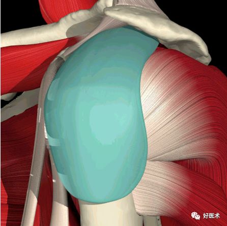 肩关节损伤的影像学诊断-7