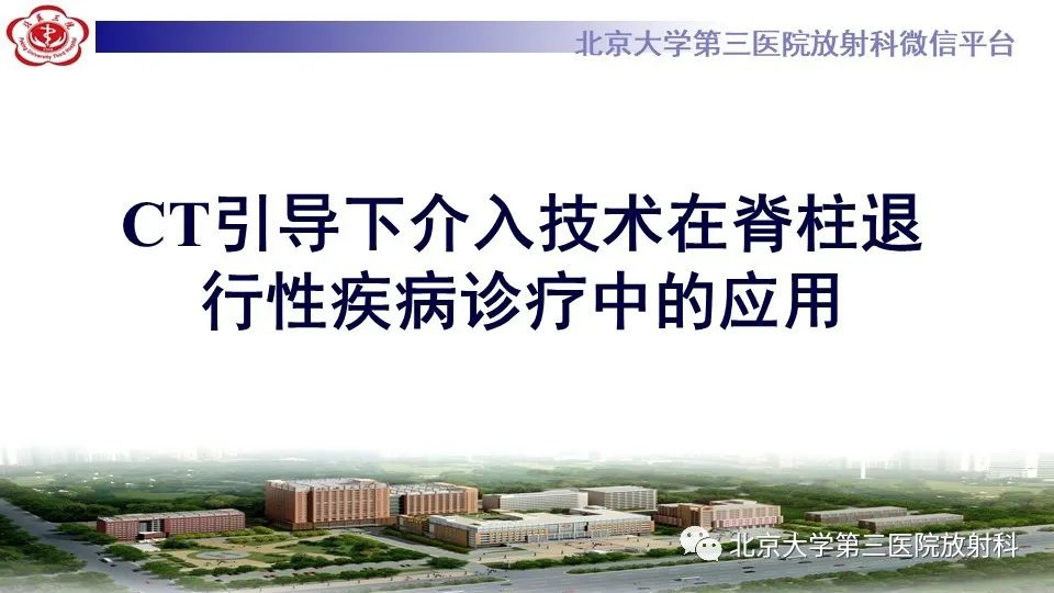 【PPT】CT引导下介入技术在脊柱退行性疾病诊疗中的应用-13