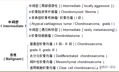 软骨类肿瘤主要内容回顾-3