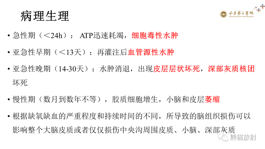 【PPT】成人缺氧缺血性脑病影像学表现-8