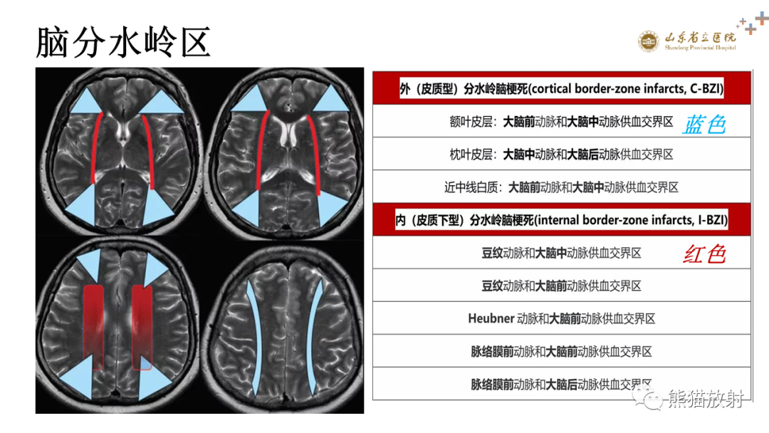 【PPT】成人缺氧缺血性脑病影像学表现-16