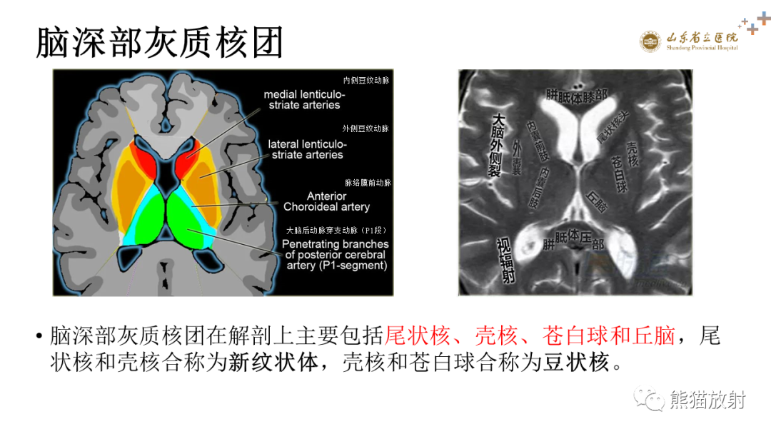 【PPT】成人缺氧缺血性脑病影像学表现-6