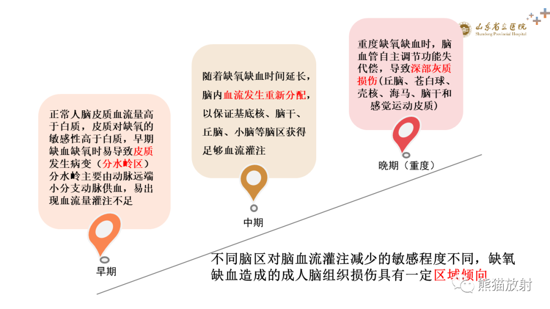 【PPT】成人缺氧缺血性脑病影像学表现-4