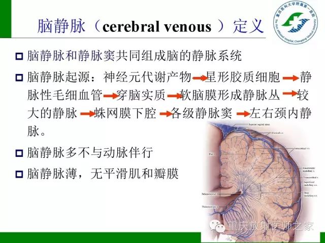 【PPT】脑静脉解剖及相关疾病影像学诊断-3