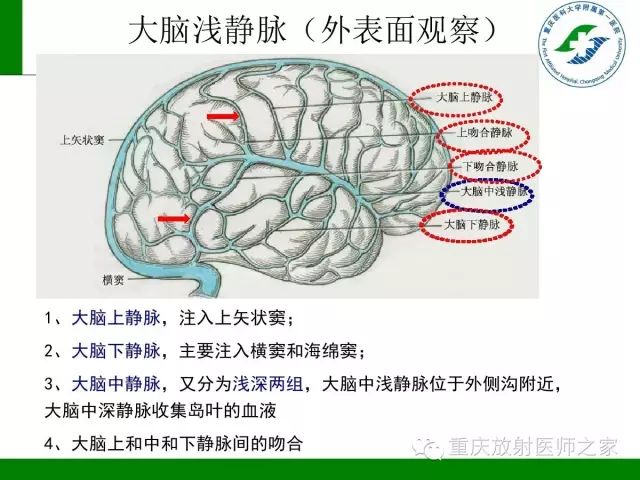 【PPT】脑静脉解剖及相关疾病影像学诊断-6