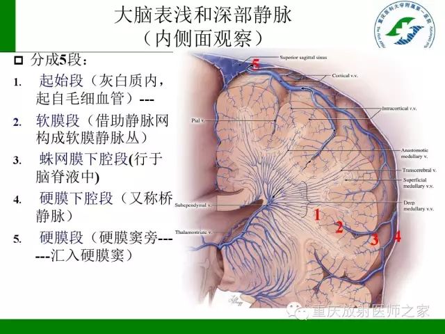 【PPT】脑静脉解剖及相关疾病影像学诊断-5