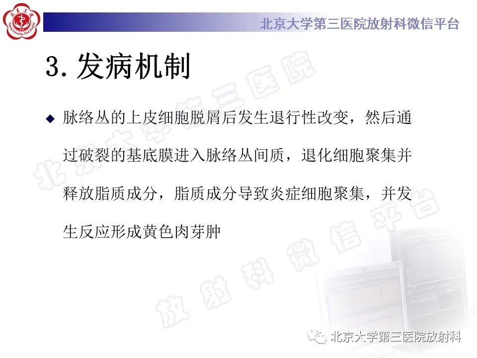 【PPT】脉络丛黄色肉芽肿-8