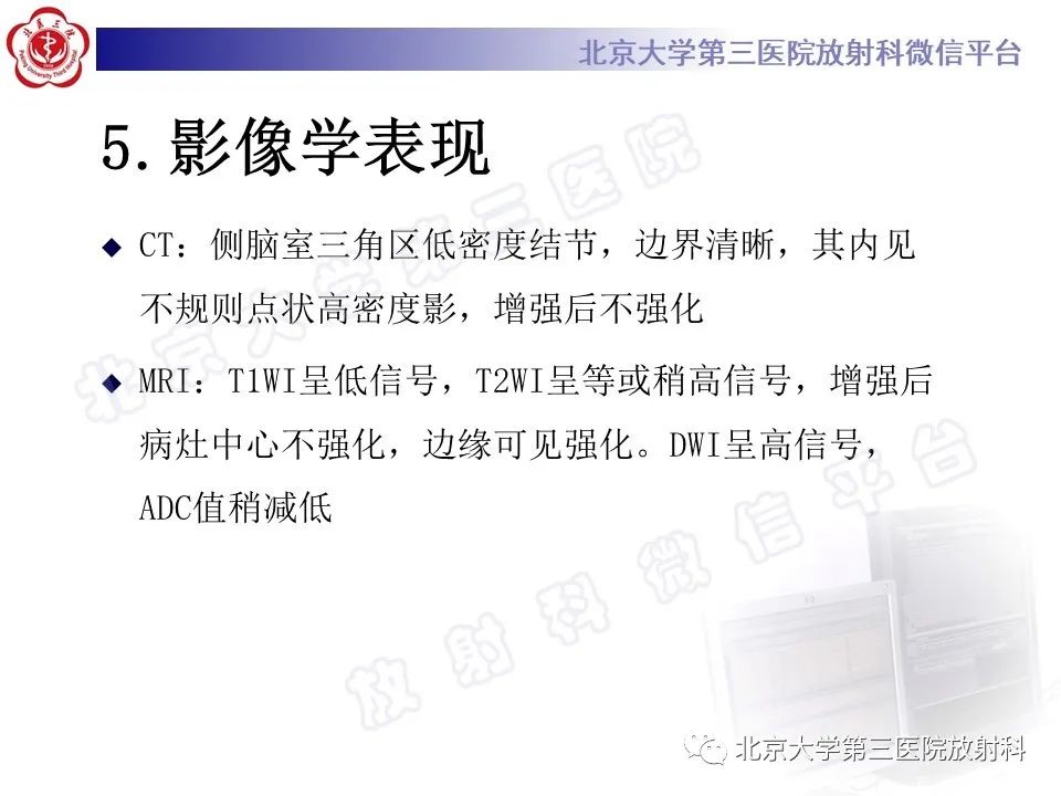 【PPT】脉络丛黄色肉芽肿-10