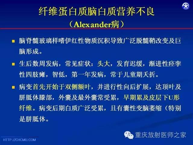 【PPT】脑白质髓鞘化及相关疾病的MRI表现-21