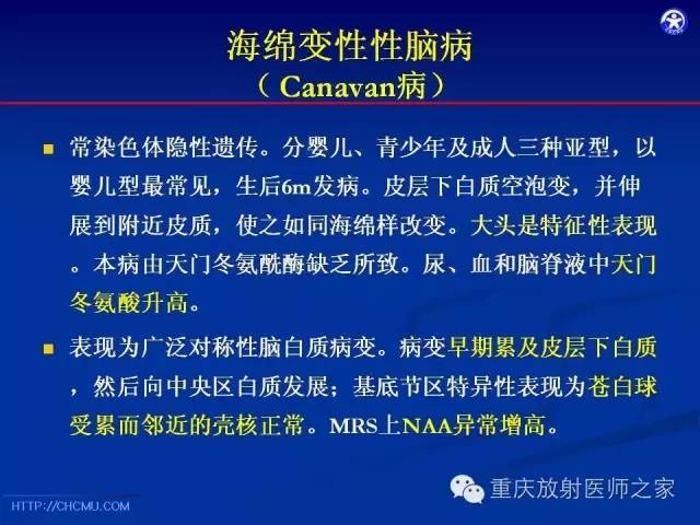 【PPT】脑白质髓鞘化及相关疾病的MRI表现-24