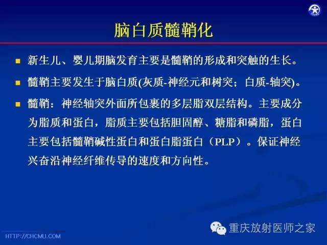 【PPT】脑白质髓鞘化及相关疾病的MRI表现-3