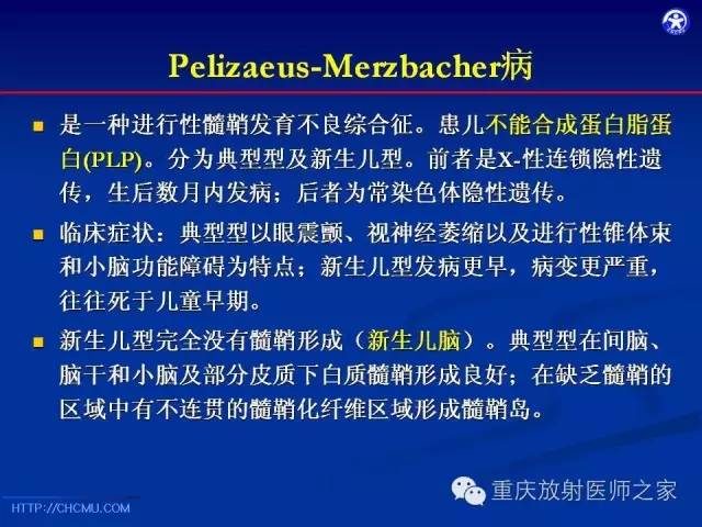 【PPT】脑白质髓鞘化及相关疾病的MRI表现-38