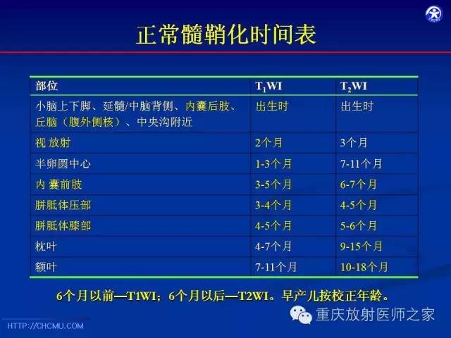 【PPT】脑白质髓鞘化及相关疾病的MRI表现-12