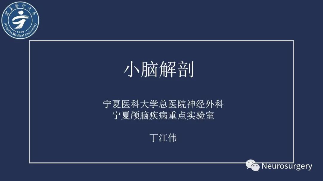 【PPT】小脑解剖-1