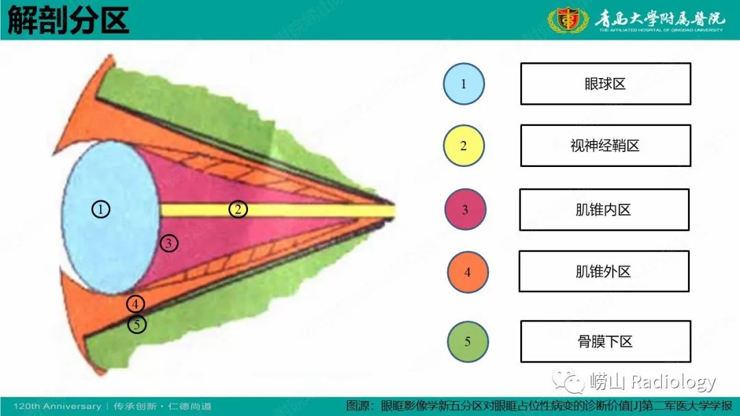 【病例】Rosai-Dorfman病 & 套细胞淋巴瘤-19