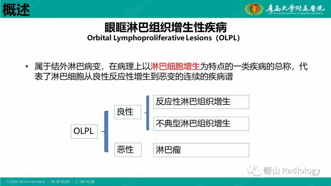 【病例】Rosai-Dorfman病 & 套细胞淋巴瘤-29