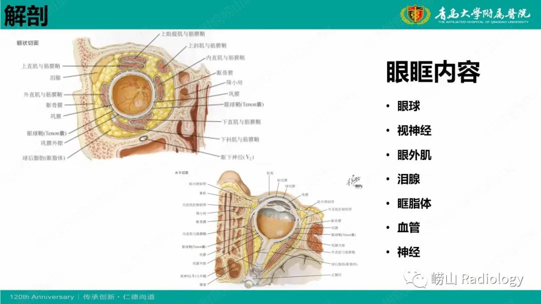 【病例】Rosai-Dorfman病 & 套细胞淋巴瘤-18