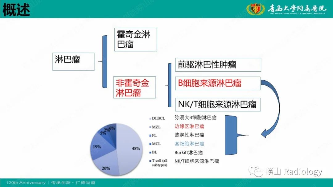 【病例】Rosai-Dorfman病 & 套细胞淋巴瘤-30